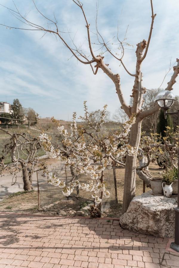 Agriturismo San Francesco Валеджо-суль-Минчо Экстерьер фото