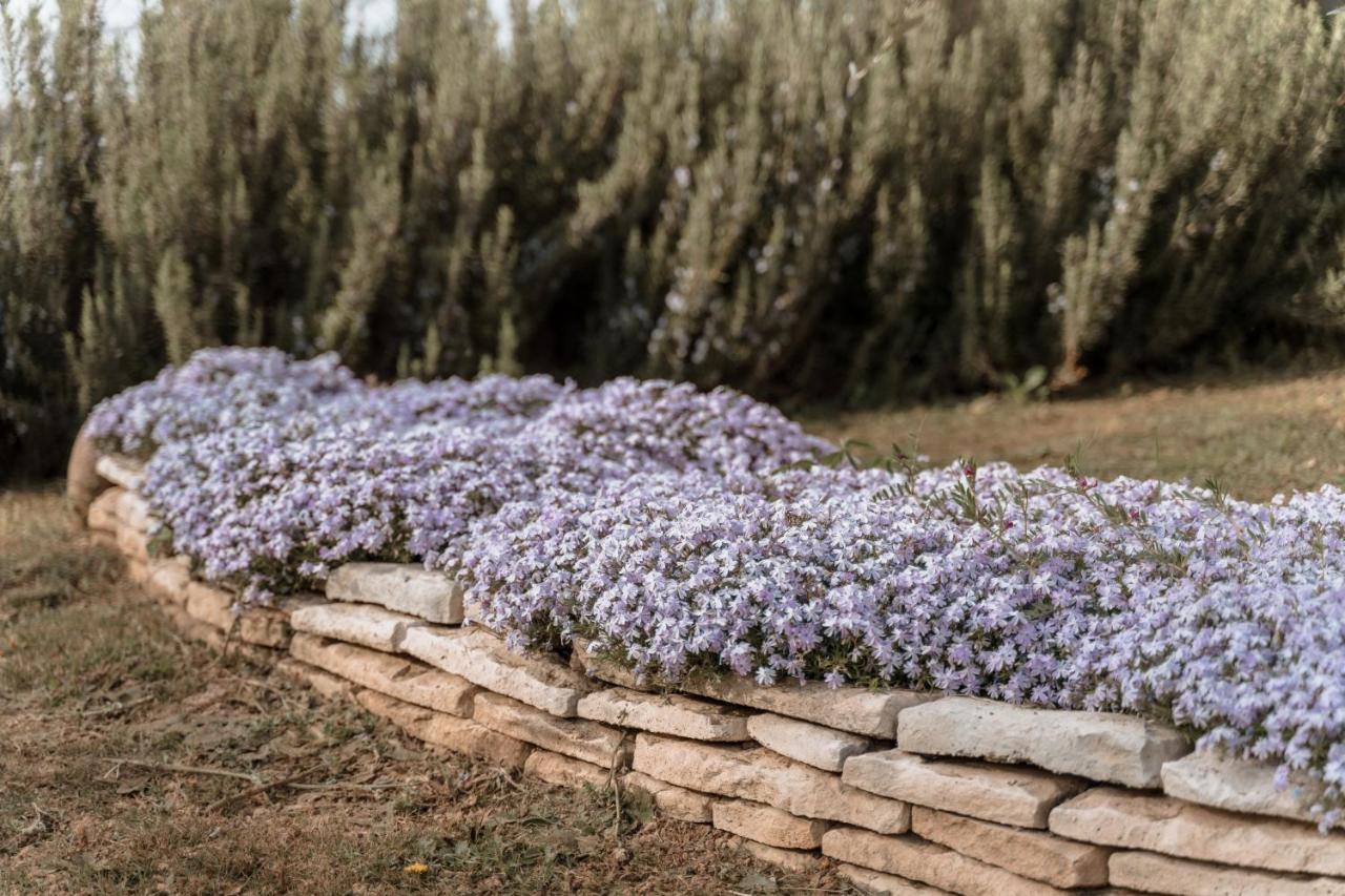 Agriturismo San Francesco Валеджо-суль-Минчо Экстерьер фото