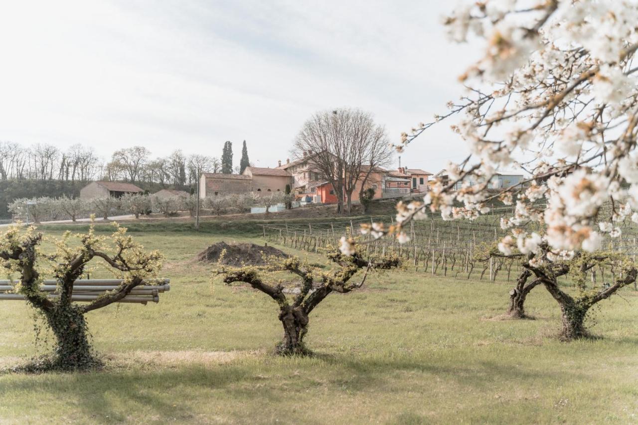 Agriturismo San Francesco Валеджо-суль-Минчо Экстерьер фото