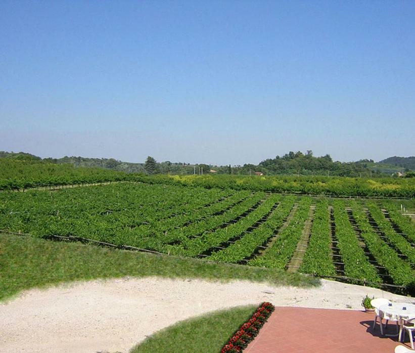 Agriturismo San Francesco Валеджо-суль-Минчо Экстерьер фото